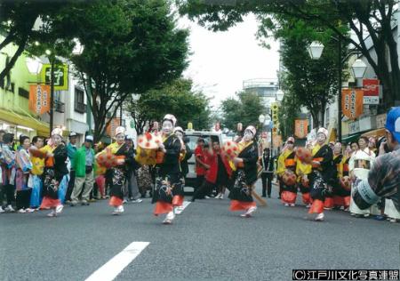 写真　花笠踊り必見　小松川平井ふるさとまつり6