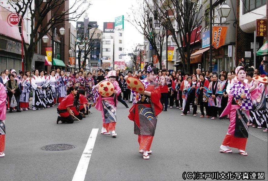 写真　花笠踊り必見小松川平井ふるさとまつり