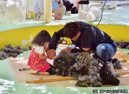 ふれあい自然動物園