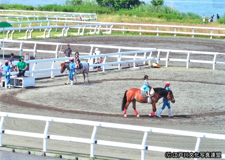 写真　乗馬体験　篠崎ポニーランド4