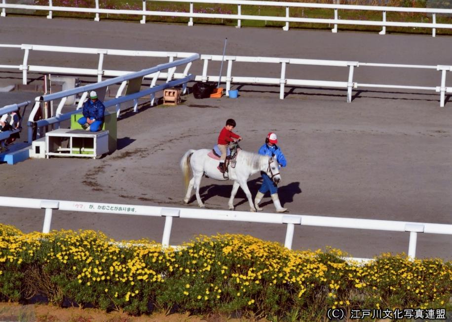 乗馬体験　篠崎ポニーランド