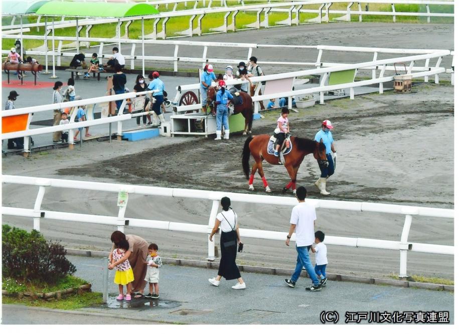 乗馬体験　篠崎ポニーランド