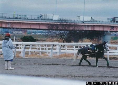 写真　乗馬体験　篠崎ポニーランド8
