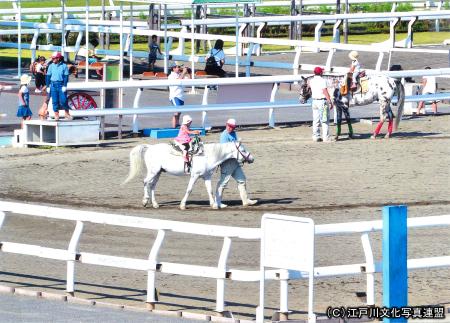 写真　乗馬体験　篠崎ポニーランド2