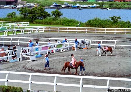 写真　乗馬体験　篠崎ポニーランド3