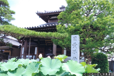 写真　江戸五色不動　目黄不動の最勝寺3