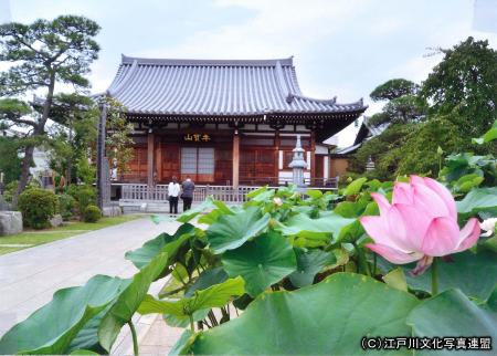 写真　江戸五色不動　目黄不動の最勝寺1