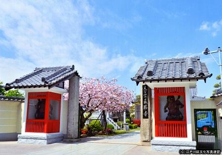 写真　江戸五色不動　目黄不動の最勝寺2