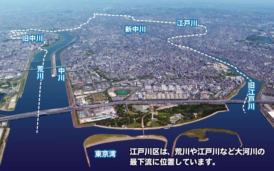 江戸川区は、荒川や江戸川など大河川の最下流に位置しています。