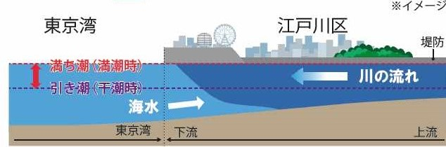 海水面が高くなると海水が川に流れ込むイメージ図
