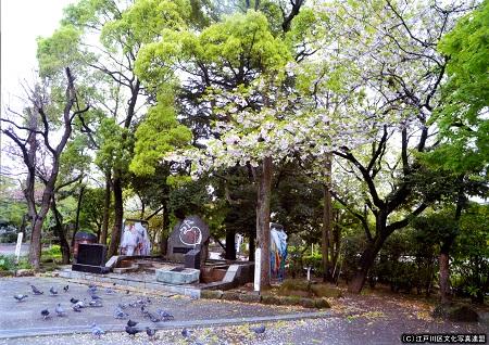 写真　続く祈り滝野公園江戸川原爆犠牲者追悼碑2