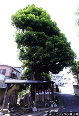 写真　宝林寺　北向き地蔵と常燈明1