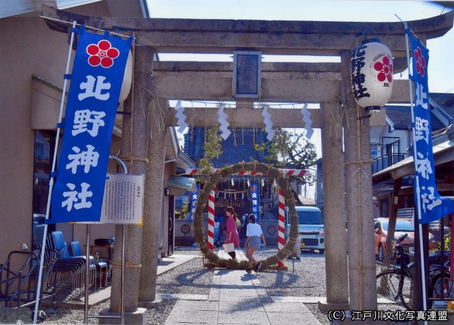 無病息災　北野神社の茅の輪くぐり