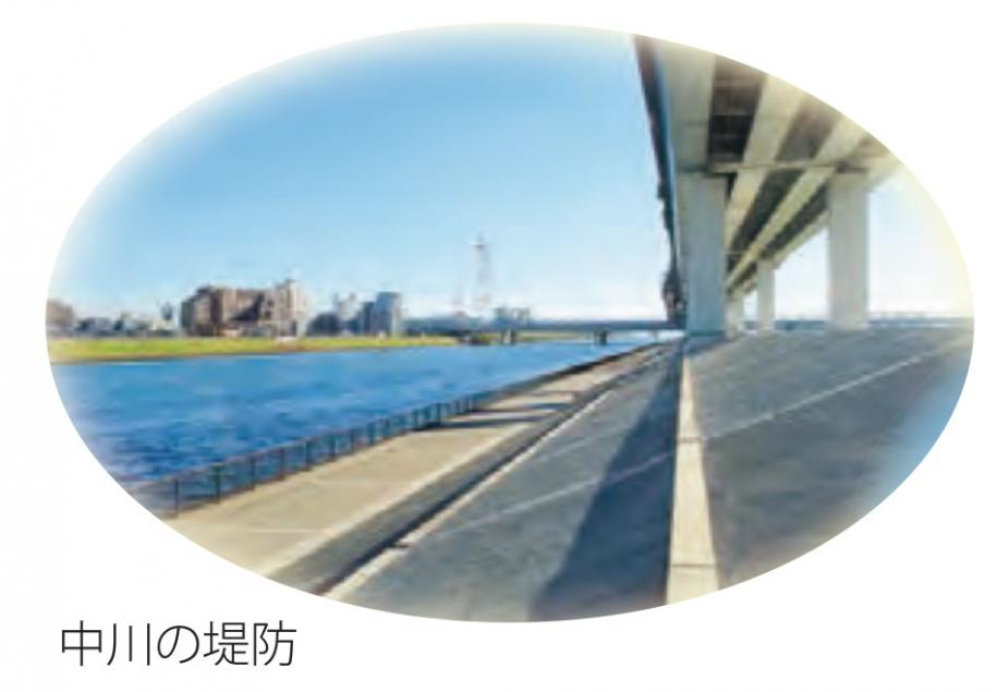 中川の堤防