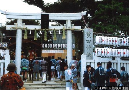 写真　空に広がる豊田神社のケヤキ7