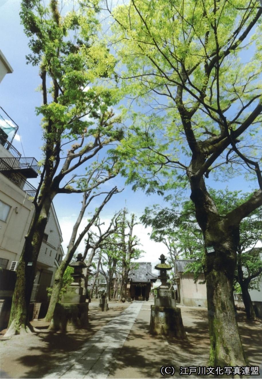 上小岩天祖神社