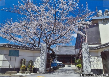 仲台院