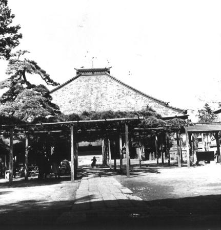 写真 かつての影向の松