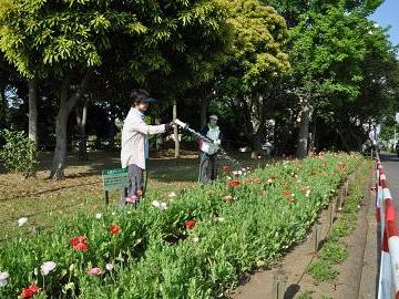 花に水やりをしている写真