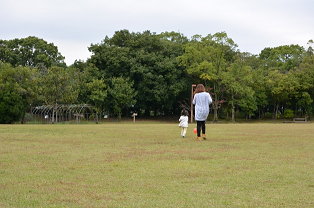 緑の公園