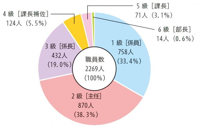 1級［係員］758人（33.4％）
2級［主任］870人（38.3％）
3級［係長］432人（19.0％）
4級［課長補佐］124人（5.5％）
5級［課長］71人（3.1％）
6級［部長］14人（0.6％）
職員数2269人（100％）