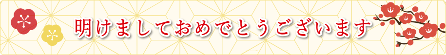 明けましておめでとうございます