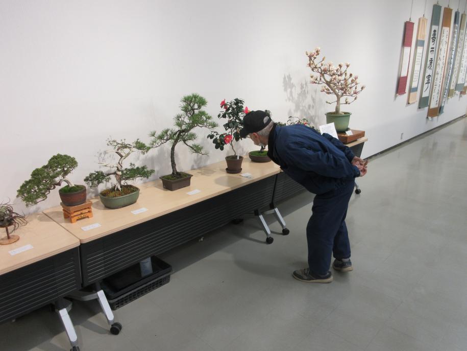 作品部門の園芸の様子