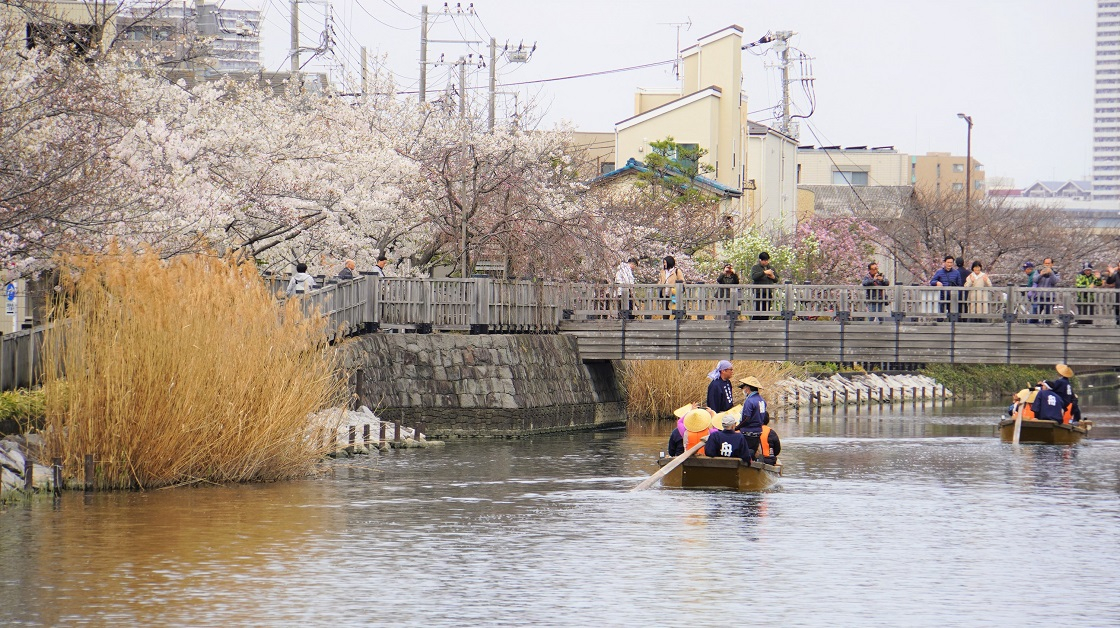 新川を流れるボートと桜の木