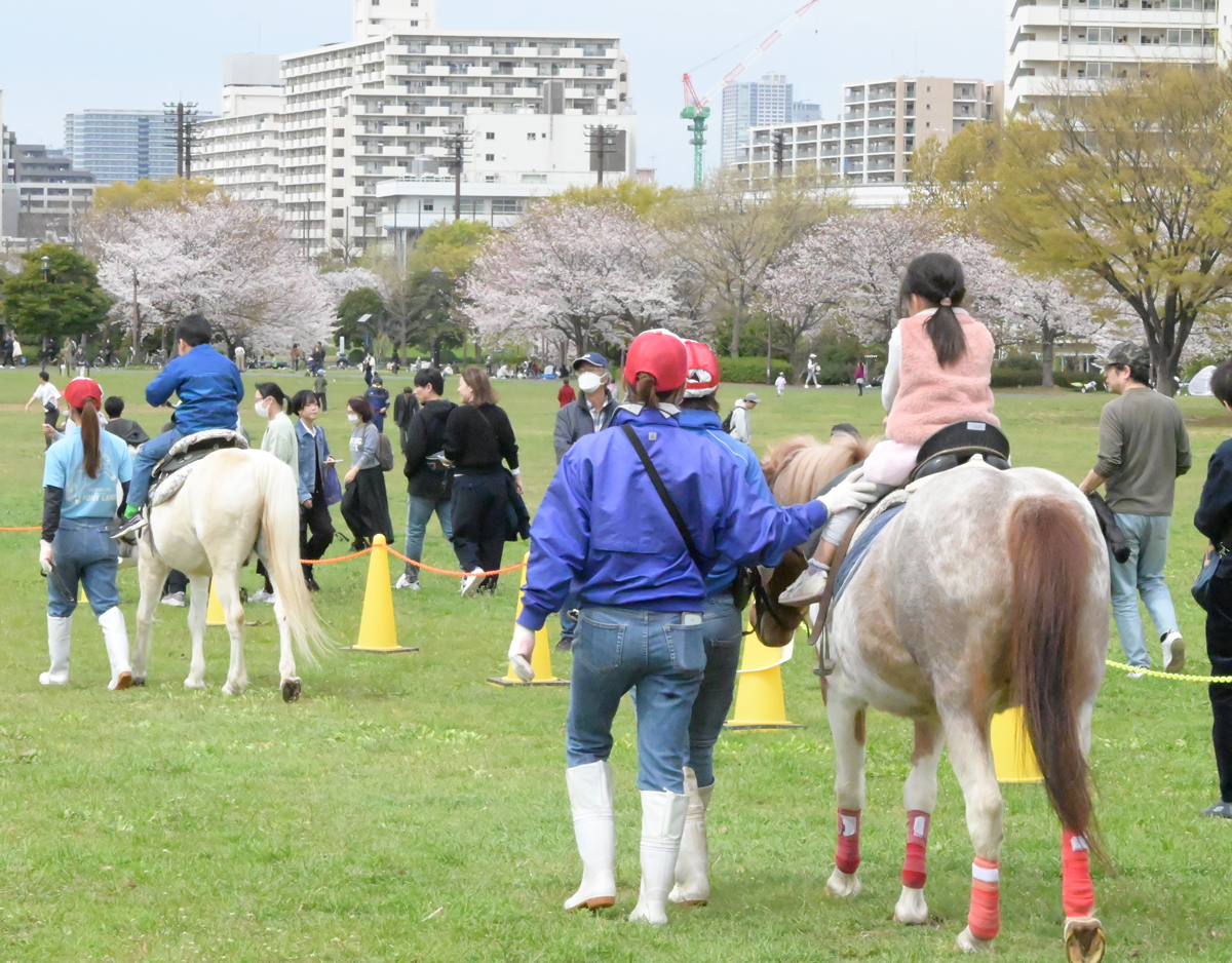 乗馬体験の様子