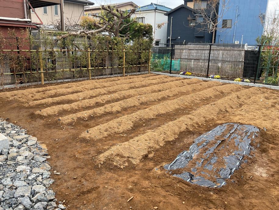 公園内の畑の写真
