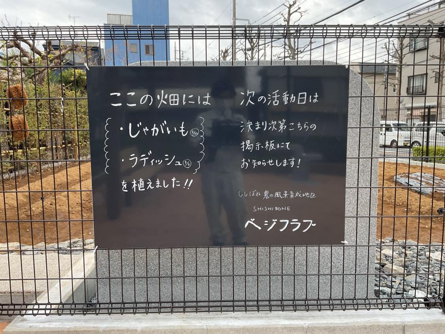 活動を紹介する掲示板の写真