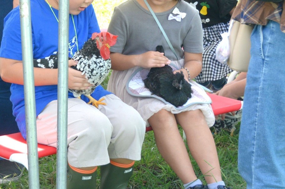 ふれあい