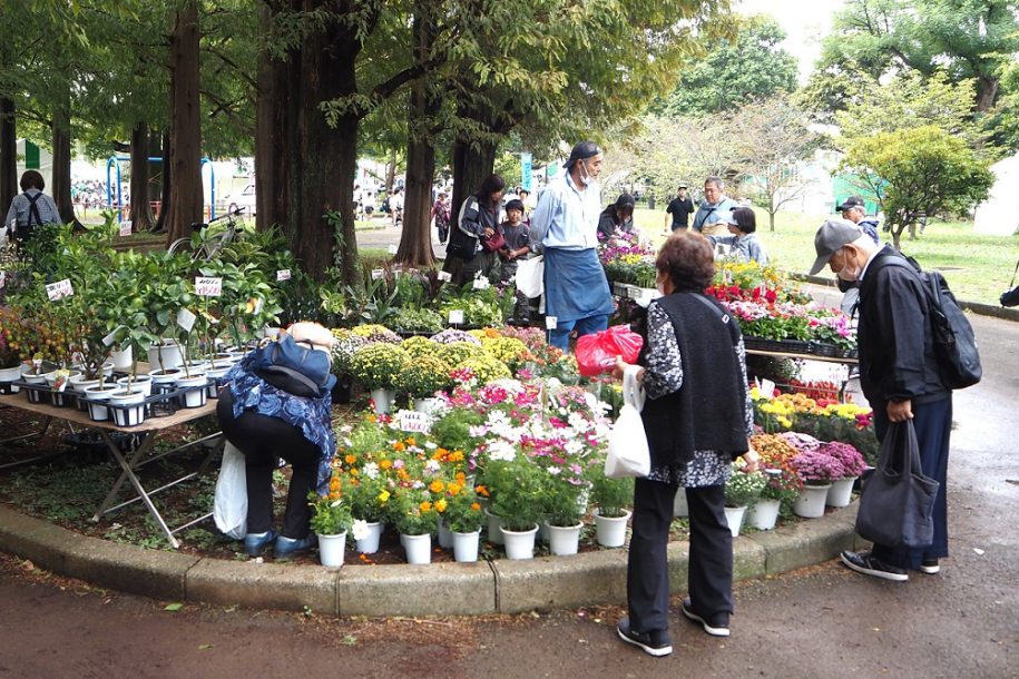 花卉園芸