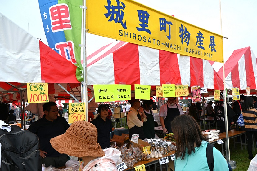城里町