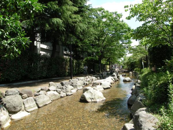 一之江境川親水公園