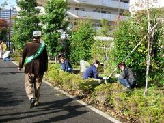 町会・自治会での清掃の様子