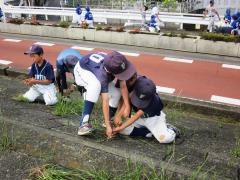 少年野球チームが草取りをしている様子