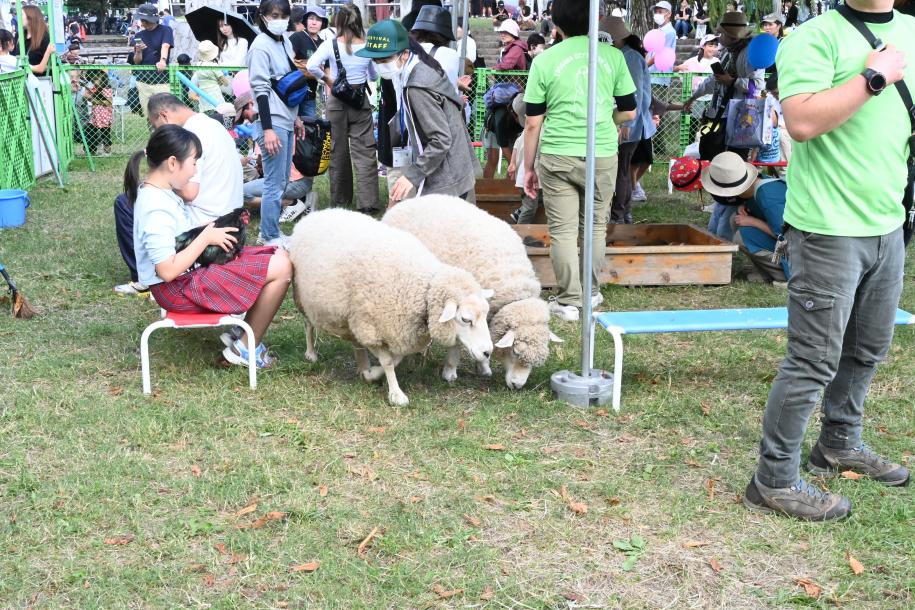 ふれあい小動物園