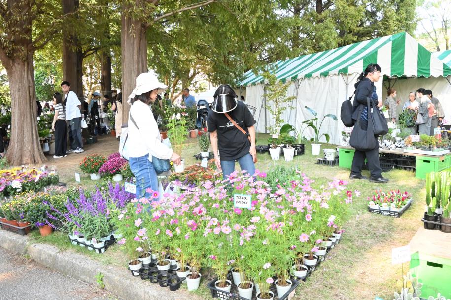 草花即売会