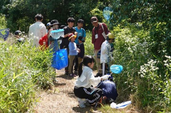 いきもの観察会