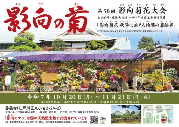 影向菊花大会ポスター