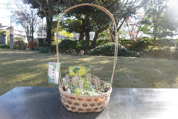 春の七草寄せ植え講座