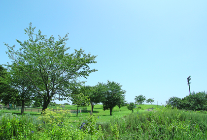 写真　総合レクリエーション公園のなぎさ公園