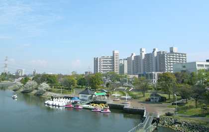 写真　新左近川親水公園