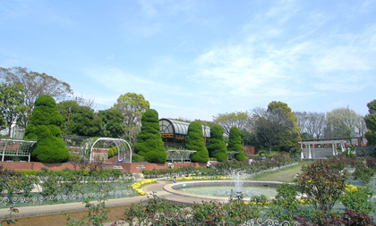 写真　総合レクリエーション公園のフラワーガーデン