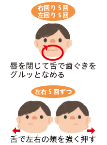 唇を閉じて舌で歯ぐきをグルッとなめるを右回り5回、左回り5回 舌で左右の頬を強く押すを左右5回ずつ