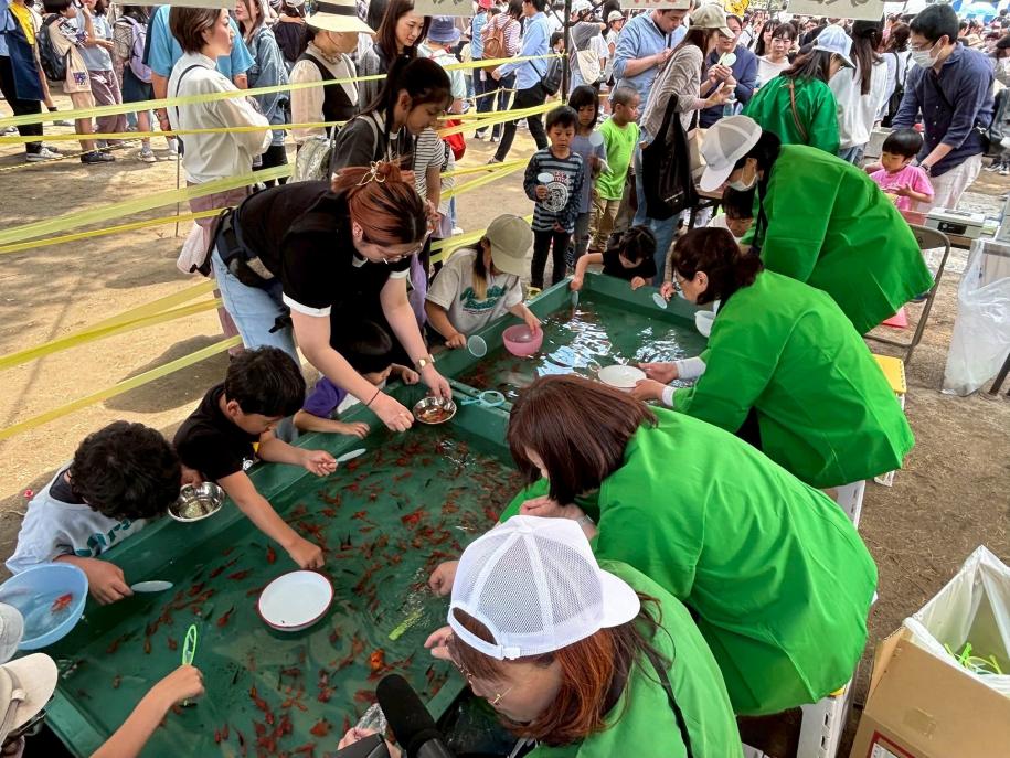 金魚すくいにチャレンジ！