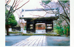 写真　大雲寺の様子