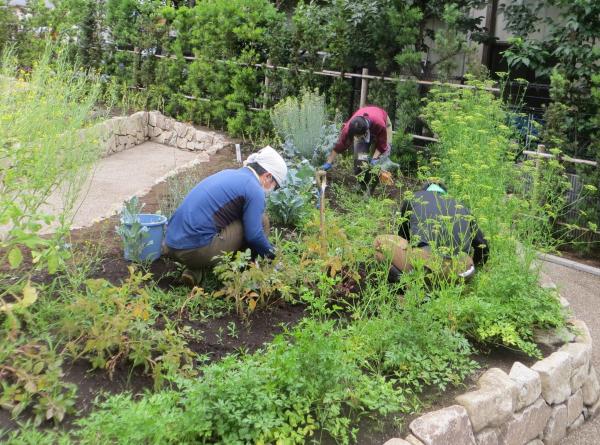 ポタジェガーデン