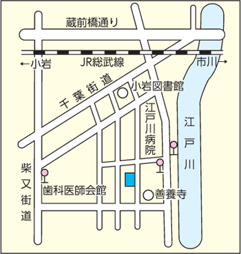 小岩くすのきカルチャーセンター 周辺図